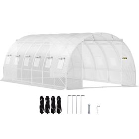 20 x 10 x 7 ft Walk-in Tunnel Greenhouse, Portable Plant Hot House with Galvanized Steel Hoops, 3 Top Beams, Diagonal Poles